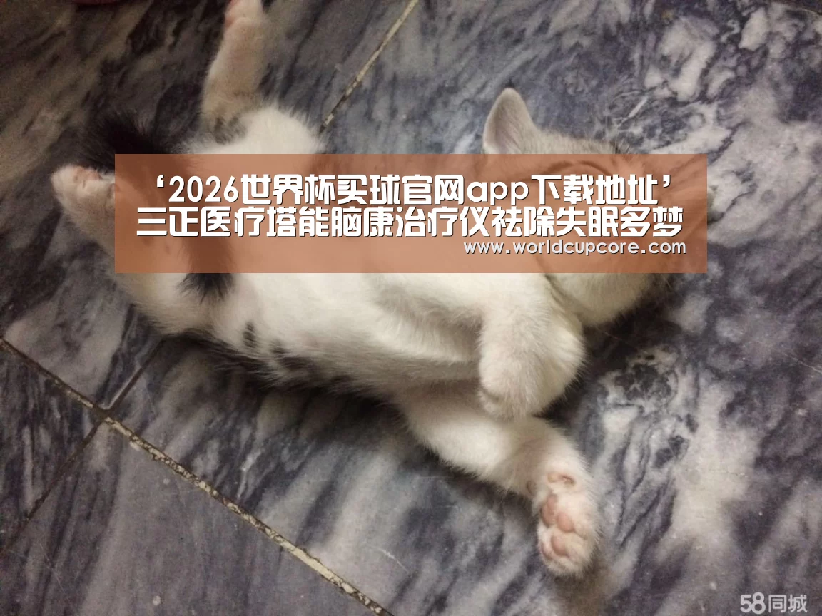2026世界杯买球官网