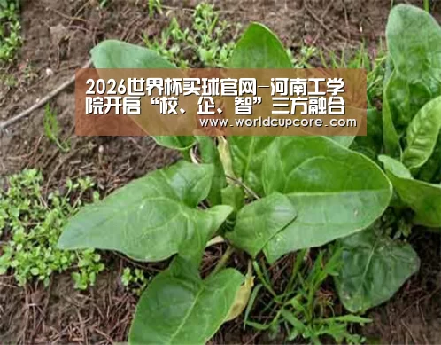2026世界杯买球官网app下载地址