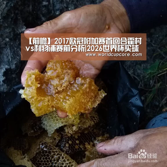 【前瞻】2017欧冠附加赛首回合霍村vs利物浦赛前分析|2026世界杯买球官网app最新版(图2) 2026世界杯买球官网