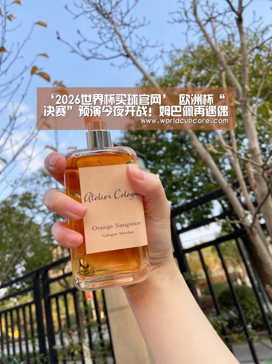 2026世界杯买球官网