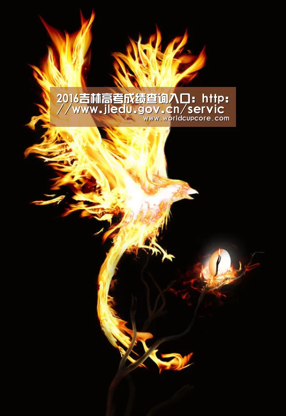2016吉林高考成绩查询入口:http://www.jledu.gov.cn/service/cjcx/“2026世界杯买球官网app最新版”(图3) 2026世界杯买球官网app最新版