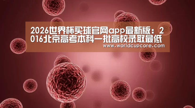 2026世界杯买球官网