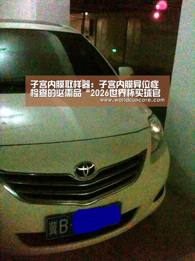 2026世界杯买球官网app最新版